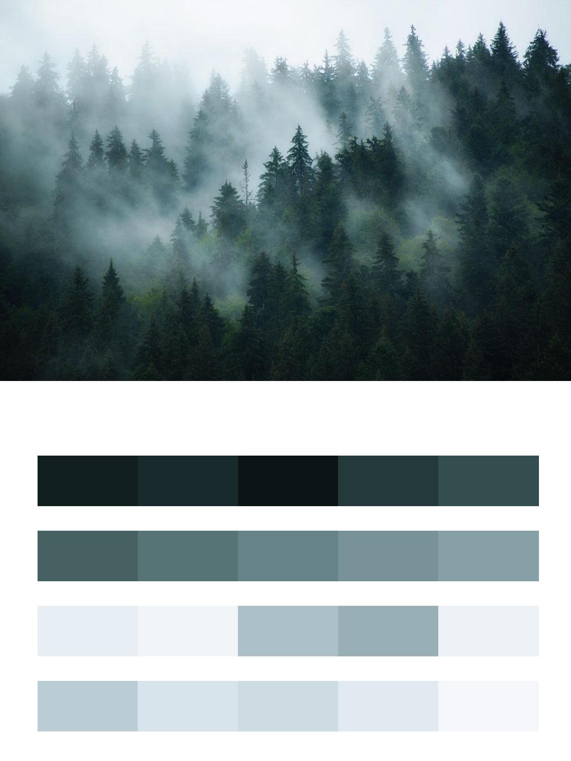 Туман в лесу цвета