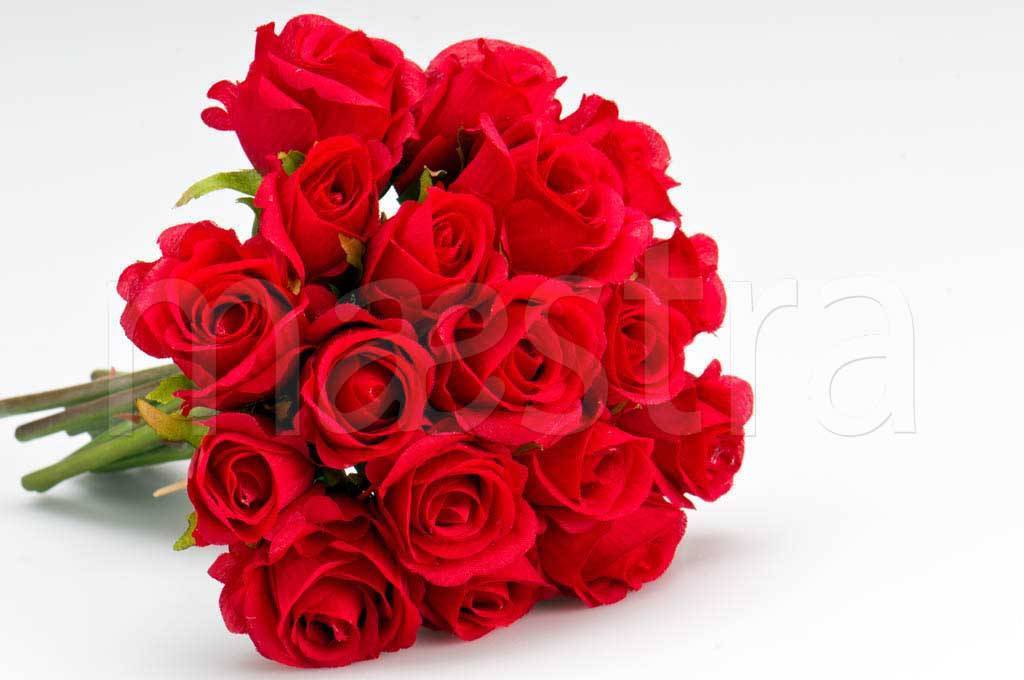 Фотообои Букет красных роз красивый