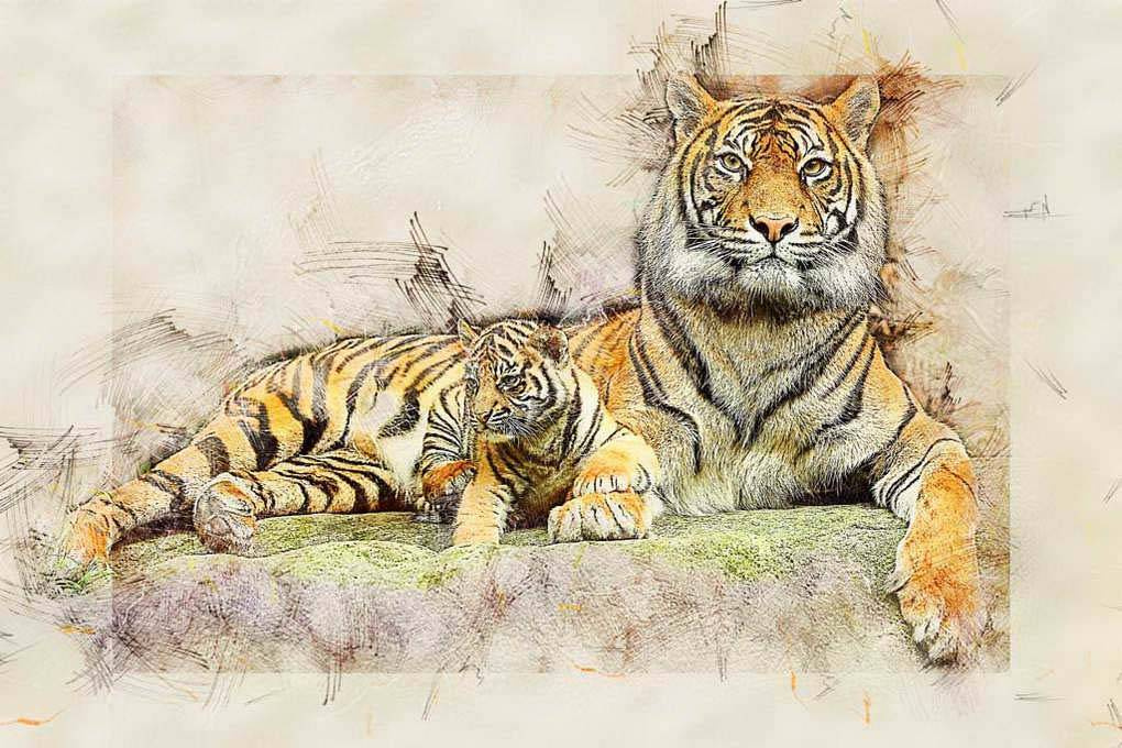 Фотообои Тигр с тигрёнком